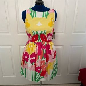 Lilly Pulitzer Aleesa dress